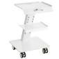 VEVOR Lab Trolley, 3-Layer Rolling Lab Cart, Metal Mobile Trolley with Swivel Wheels, Tray Rolling Cart Clinic Cart 100 kg Weight, for Lab, Clinic, Beauty and Salon