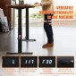 VEVOR Electric Standing Πλαίσιο Διπλού κινητήρα Ρυθμιζόμενο 65-129 cm Υ Μαύρο