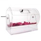 VEVOR Acrylic Raffle Drum, Χωράει 10000 Tickets ή 300 Raffle Balls, Professional Raffle Ticket Spinning Cage with 2 Keys, Transparent Lottery Spinning Drawing, Raffle Ticket Box for Games Lottery Bing