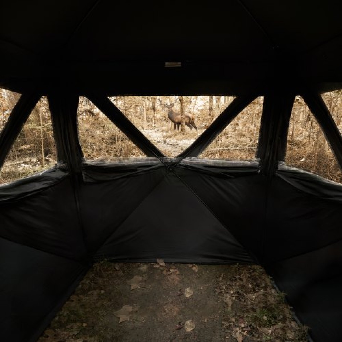 VEVOR Hunting Blind, 270° Ground Blind, Pop Up Deer Blind 2-3 ατόμων για κυνήγι με τσάντα μεταφοράς, φορητή ελαστική σκηνή κυνηγιού, 3 οριζόντια παράθυρα για τη Τουρκία και το κυνήγι ελαφιού