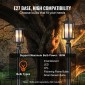 VEVOR 2 Pack Dusk to Dawn Outdoor Post Light, 450 mm, Αδιάβροχα φωτιστικά Post με 3,5 in Pier Mount Base Glass Shade, Αλεξικέραυνο Εξωτερικό Φωτιστικό Στήλης Πόλου για Patio Garden Pathway