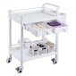 VEVOR 2 Tiers Lab Carts, Lab Utility Cart με 2 δίσκους, 2 συρτάρια & 4 Silent Wheels, Mobile ιατρικό καρότσι με υλικό PP, Lab Rolling Cart με 3 κάδους απορριμμάτων για εργαστήριο, κλινική, νοσοκομείο, σαλόνι, λευκό
