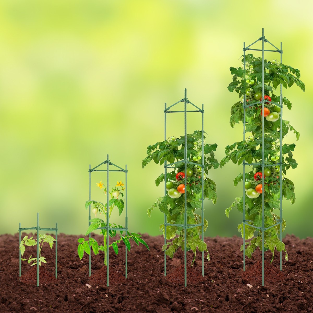 VEVOR 4 Packs Κλουβιά ντομάτας για κήπο, 63 ιντσών Tomato Trellis Plant Stakes Support, Stackable Tall Plant Support Cage, για υπερυψωμένο κρεβάτι κήπου, λαχανικά λουλούδια και αναρριχώμενα φυτά