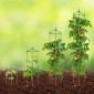 VEVOR 4 Packs Κλουβιά ντομάτας για κήπο, 63 ιντσών Tomato Trellis Plant Stakes Support, Stackable Tall Plant Support Cage, για υπερυψωμένο κρεβάτι κήπου, λαχανικά λουλούδια και αναρριχώμενα φυτά