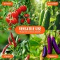 VEVOR 6 Packs Κλουβιά ντομάτας για κήπο, 48 ιντσών Tomato Trellis Plant Stakes Support, Stackable Tall Plant Support Cage, για υπερυψωμένο κρεβάτι κήπου, λαχανικά λουλούδια και αναρριχώμενα φυτά