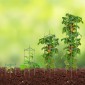 VEVOR 6 Packs Κλουβιά ντομάτας για κήπο, 48 ιντσών Tomato Trellis Plant Stakes Support, Stackable Tall Plant Support Cage, για υπερυψωμένο κρεβάτι κήπου, λαχανικά λουλούδια και αναρριχώμενα φυτά