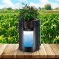 VEVOR DWC Hydroponics Grow System, Hydroponic Growing System with Top Drip Kit, Deep Water Culture 5-Gallon 4 Buckets, with Air Pump, Air Stones και Water Level Device for Leafy Lagetables