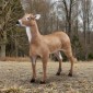 Δόλωμα ελαφιού VEVOR, Δόλωμα ελαφιών εξωτερικού χώρου για κυνήγι, ρεαλιστικό ανθεκτικό HDPE δόλωμα κυνηγιού ελαφιού, πτυσσόμενα πόδια για εύκολη μεταφορά και χρήση, για διακόσμηση αυλής κήπου, 1 πακέτο