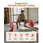 Barbell Bar VEVOR 6FT, ταιριάζει σε πλάκες βάρους 2 ιντσών, επιχρωμιωμένη μπάρα μπάρα με γρατσουνισμένη λαβή για προπόνηση δύναμης, Άρση βαρών, Squat, Deadlift, πρέσα πάγκου, μπούκλα, πρέσα οροφής, χωρητικότητα 500 λίβρες