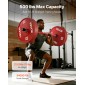 VEVOR Barbell Bar 120cm, Εφαρμογή πλάκες βάρους 2 ιντσών, Barbell Bar με κοντή λαβή για προπόνηση δύναμης, Άρση βαρών, Squat, Deadlift, πρέσα πάγκου, μπούκλα, πρέσα οροφής, χωρητικότητα 550lbs/226kg