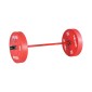 VEVOR Barbell Bar 120cm, Εφαρμογή πλάκες βάρους 2 ιντσών, Barbell Bar με κοντή λαβή για προπόνηση δύναμης, Άρση βαρών, Squat, Deadlift, πρέσα πάγκου, μπούκλα, πρέσα οροφής, χωρητικότητα 550lbs/226kg