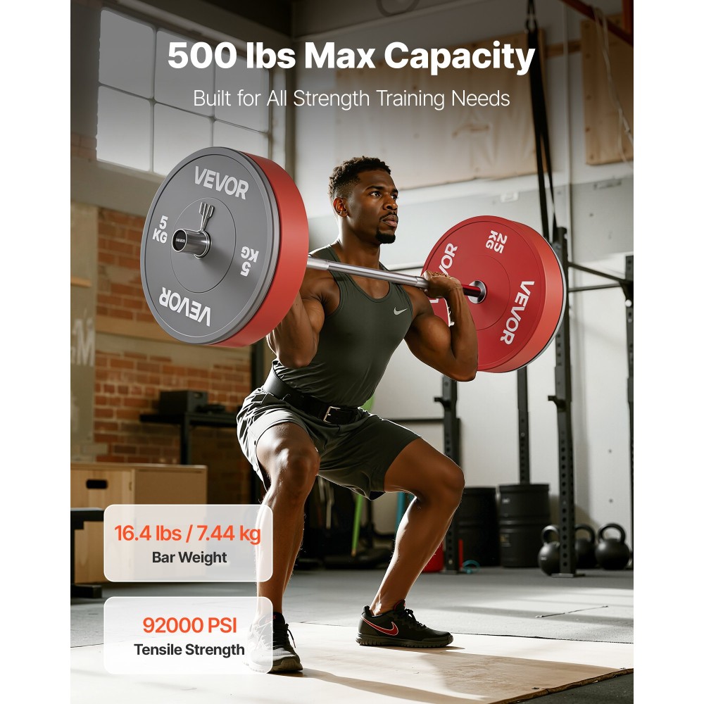 Barbell Bar VEVOR 4FT, ταιριάζει σε πλάκες βάρους 2 ιντσών, επιχρωμιωμένη μπάρα μπάρα με γωνιακή λαβή για προπόνηση δύναμης, Άρση βαρών, Squat, Deadlift, πρέσα πάγκου, μπούκλα, πρέσα οροφής, χωρητικότητα 500lbs