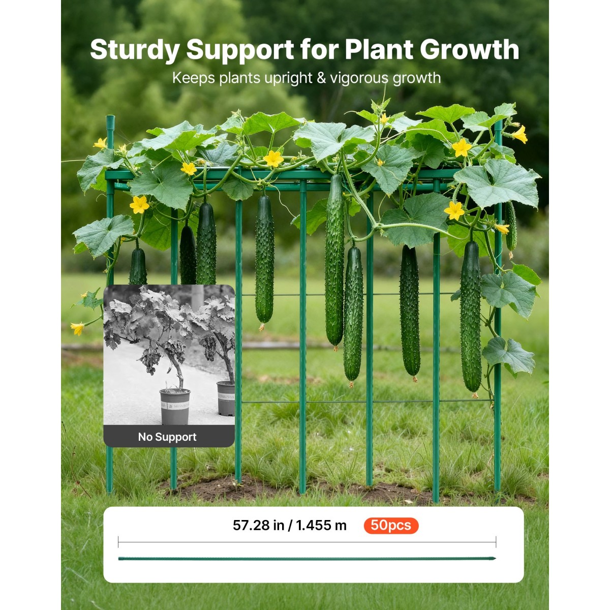 VEVOR Garden Stakes, 50 Pack, 1455 mm, Μεταλλικοί πάσσαλοι ντομάτας με πλαστική επικάλυψη, Garden Sticks για υποστήριξη φυτών, με μυτερό άκρο και αντιολισθητικά εξογκώματα για καλλιέργεια αναρριχώμενων φυτών, λαχανικά εξωτερικού χώρου