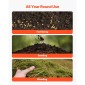 VEVOR Push Lawn Spreader, 3m Spreading Width, Broadcast Spreader με χωρητικότητα 59 kg & 10 in All-Terrain ελαστικά, Walk-Behind Garden & Lawn Broadcast Spreaders for Seed Fertilizer Weed Control
