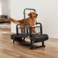 Διάδρομος VEVOR Dog για Small/Medium Dog, Pet Running Machine Pacer Slatmill με Stepless ρύθμιση, φρένο και τροχούς, αναβάθμιση πλαστικής ζώνης για να κρατάτε τα κατοικίδια ενεργά και σε φόρμα, έως 199,6 kg, εύκολο στη μετακίνηση