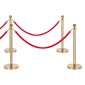 VEVOR Stanchion Post, 6 τμχ Σετ Crowd Control Barrier με Κόκκινο Χαλί, 4 Red Velvet Σχοινιά, Ανοξείδωτο Χρυσό Stanchion Post Queue με Κοίλη Βάση για Θέατρο, Πάρτυ, Γάμο, Έκθεση (Χρυσός)