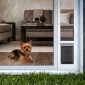 VEVOR Dog Dog Dog Dog Poor for Sliding Glass Door, 1927 mm έως 2049 mm Ρυθμιζόμενο ύψος, Σκελετός από κράμα αλουμινίου με πτερύγιο και περιστρεφόμενο μεντεσέ, σχέδιο κλειδαριάς, για σκύλους μικρού μεγέθους, συρόμενες γυάλινες πόρτες κατοικίδιων ζώων για ε