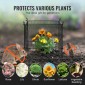 VEVOR 4 Pack Plant Protector from Animals, 13,4'' x 13,4'' Chicken Wire Protect Plant Protector, Plant Clear for Outdoor Plant, λουλούδια & λαχανικά, Keeps Bunny Chicken Squirrels Out, 16τμχ Μεταλλικό Πλέγμα