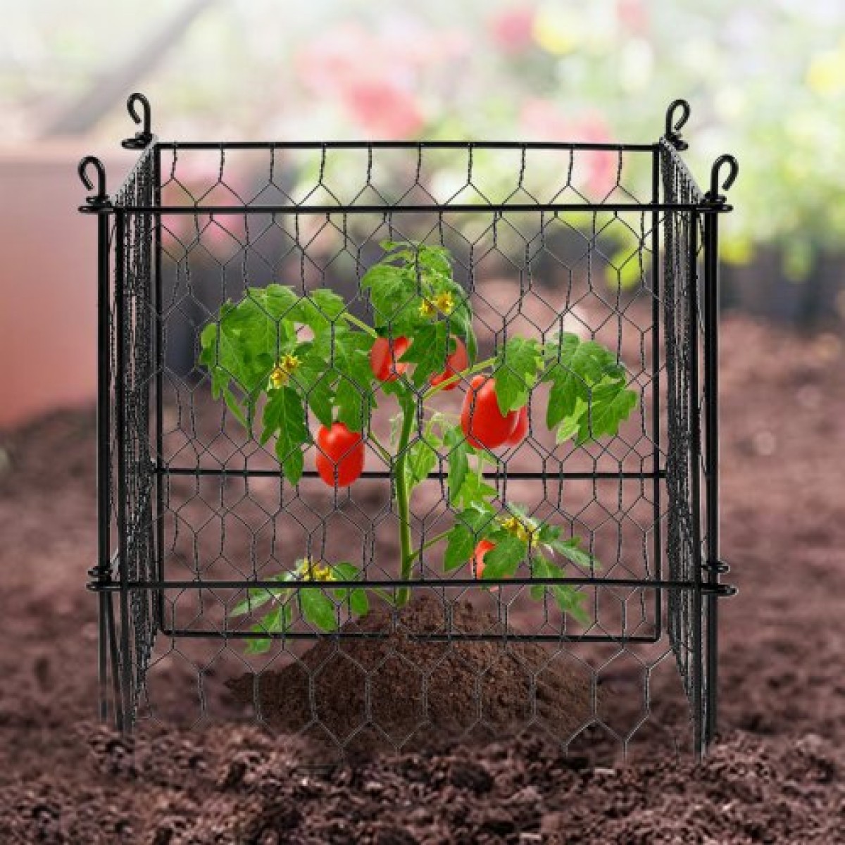 VEVOR 4 Pack Plant Protector from Animals, 13,4'' x 13,4'' Chicken Wire Protect Plant Protector, Plant Clear for Outdoor Plant, λουλούδια & λαχανικά, Keeps Bunny Chicken Squirrels Out, 16τμχ Μεταλλικό Πλέγμα