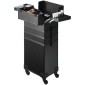 VEVOR 5 in 1 Professional Makeup Train Case Θήκη καλλυντικής αλουμινίου, κυλιόμενη θήκη μακιγιάζ Εξαιρετικά μεγάλο καρότσι μακιγιάζ Travel Organizer, με περιστρεφόμενους τροχούς 360° & Ρυθμιζόμενη ράβδο έλξης, Μαύρη