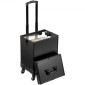 VEVOR 5 in 1 Professional Makeup Train Case Θήκη καλλυντικής αλουμινίου, κυλιόμενη θήκη μακιγιάζ Εξαιρετικά μεγάλο καρότσι μακιγιάζ Travel Organizer, με περιστρεφόμενους τροχούς 360° & Ρυθμιζόμενη ράβδο έλξης, Μαύρη