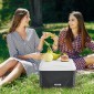 Φορητό ψυγείο VEVOR, σκληρός ψύκτης 8,5 QT με συγκράτηση πάγου και λαβές βαρέως τύπου, Φορητό ψυγείο με μόνωση από ελαφρύ άκαμπτο υλικό, κατάλληλο για οικογενειακά πικνίκ και σύντομα ταξίδια