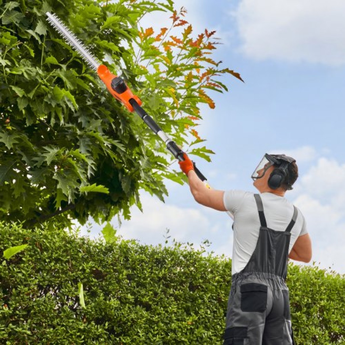 VEVOR Electric Hedge Trimmer, 1200 RPM, 6,2 - 7,8 Ft Extendable, Pole Hedge Trimmer for High Branch, μπαταρία 20V, Cordless Hedge Trimmer με 20 in Blade, 5 γωνίες ρυθμιζόμενες για Yard Garden