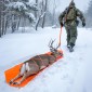 VEVOR Deer Drag Sled, 185 x 58 cm, 250 kg Heavy Duty Yard Utility Sled, Ανθεκτικό στο σχίσιμο PE Drag Glider Mat με σχοινιά & λαβή, Thickened Game Hauler για Καυσόξυλα Ψάρεμα στον Πάγο Κυνήγι