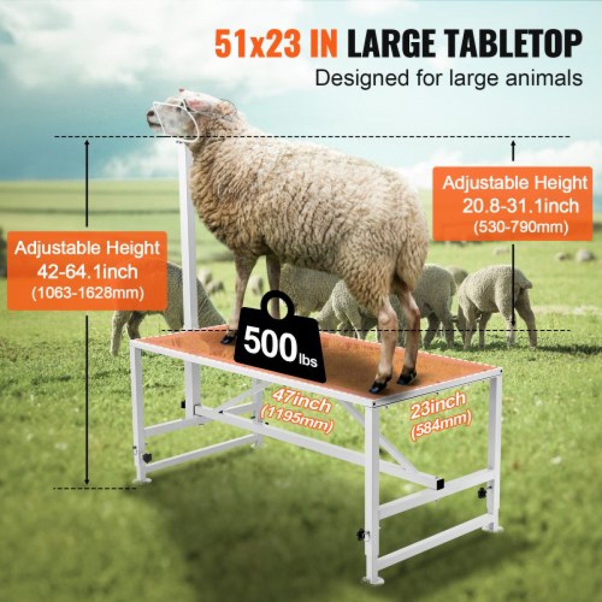 Βάση VEVOR Goat & Sheep, 47x23 ιντσών Livestock Stand, Μεταλλική βάση για άρμεγμα και κούρεμα ζώων 21" έως 33" Ρυθμιζόμενο ύψος, με κεφαλή και βρόχο μύτης, βάρος φόρτωσης 500lbs, λευκό
