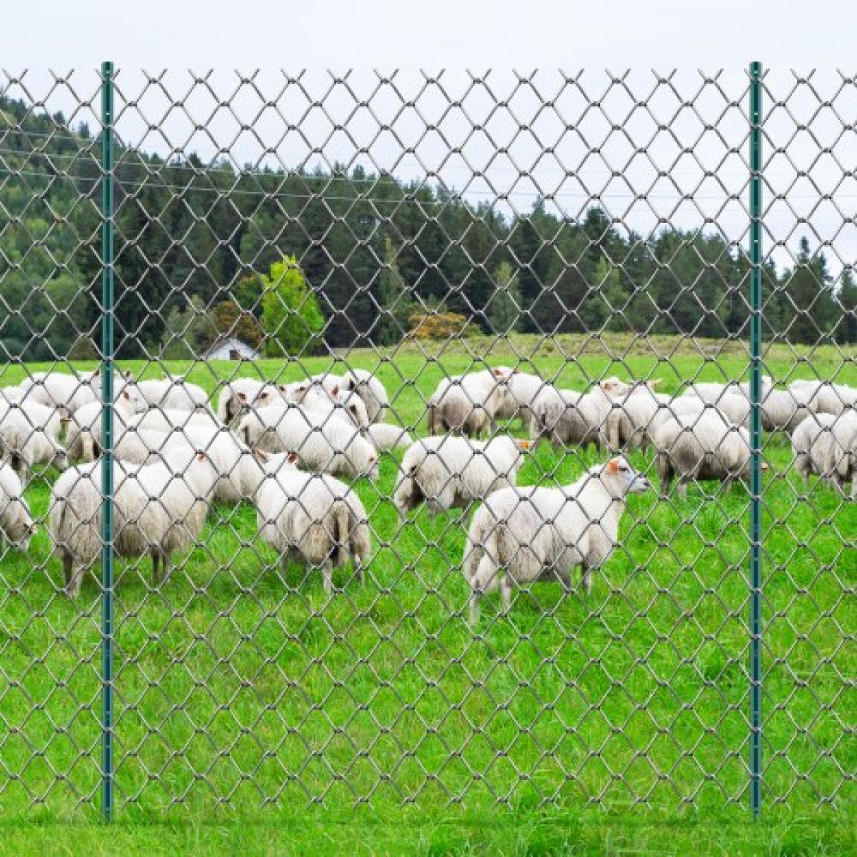 Στύλος φράχτη VEVOR 7 ποδιών, μεταλλικοί στύλοι βαρέως τύπου U-Channel 10 πακέτων, στιβαροί ατσάλινοι φράχτες για αυλή κήπου, γκαζόν, αγροκτήματα και συρμάτινη περίφραξη εξωτερικού χώρου, πράσινο