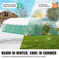 Θερμοκήπιο VEVOR Walk-in Tunnel, σήραγγα θερμοκηπίου Hoop House 29,5x9,8x6,6 ft, Hot House Plant Peaked Roof με πλαίσιο από γαλβανισμένο χάλυβα, πράσινο κάλυμμα PE, πόρτα με φερμουάρ και 12 παράθυρα για εξωτερικούς χώρους