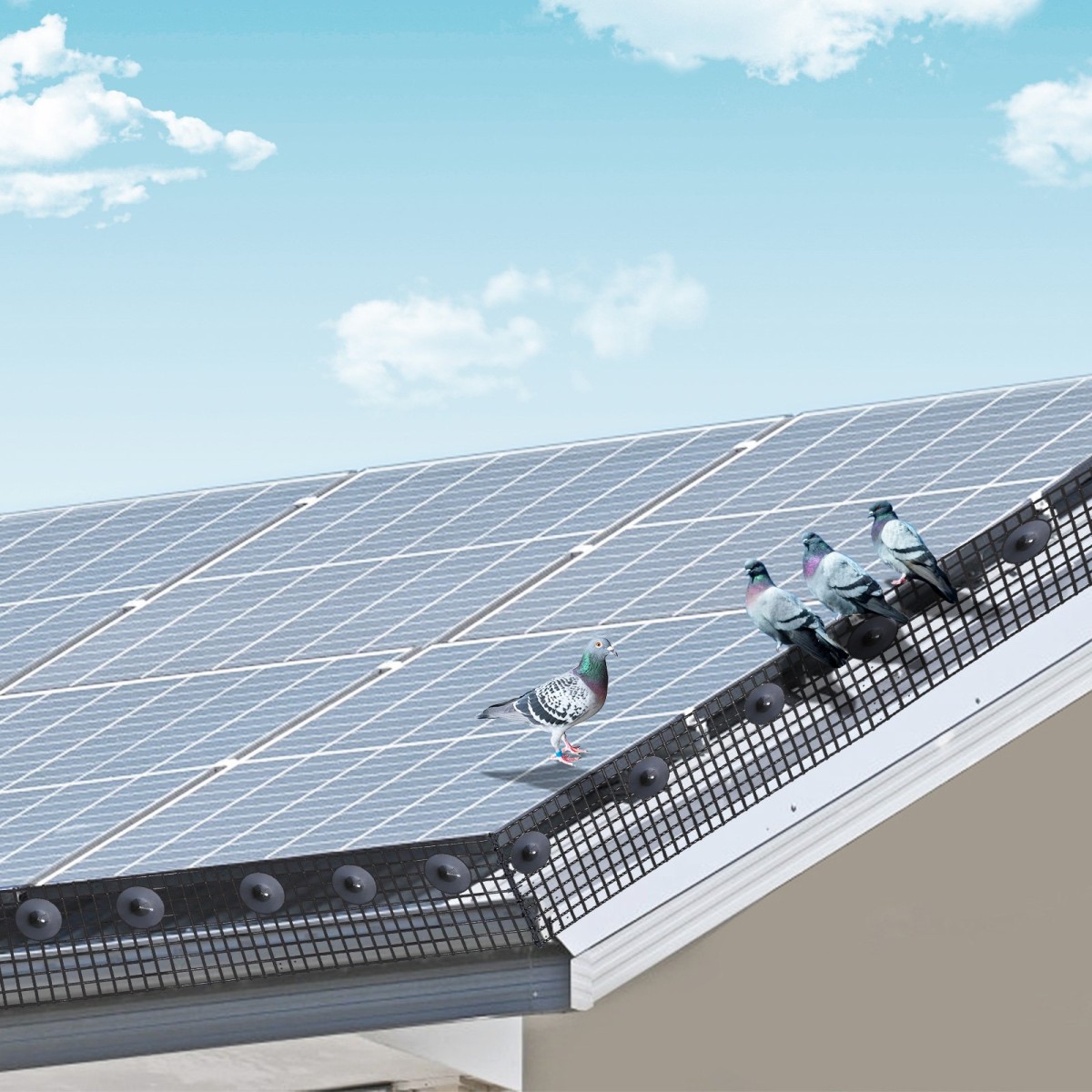 VEVOR 20 x 3048 cm Solar Panel Bird Guard, Critter Guard Roll Kit με 100 τμχ. Συνδετήρες από κράμα αλουμινίου, προστατευτικό ηλιακού πάνελ με επίστρωση PVC ανθεκτική στη σκουριά, συρμάτινο πλέγμα 12,7 mm