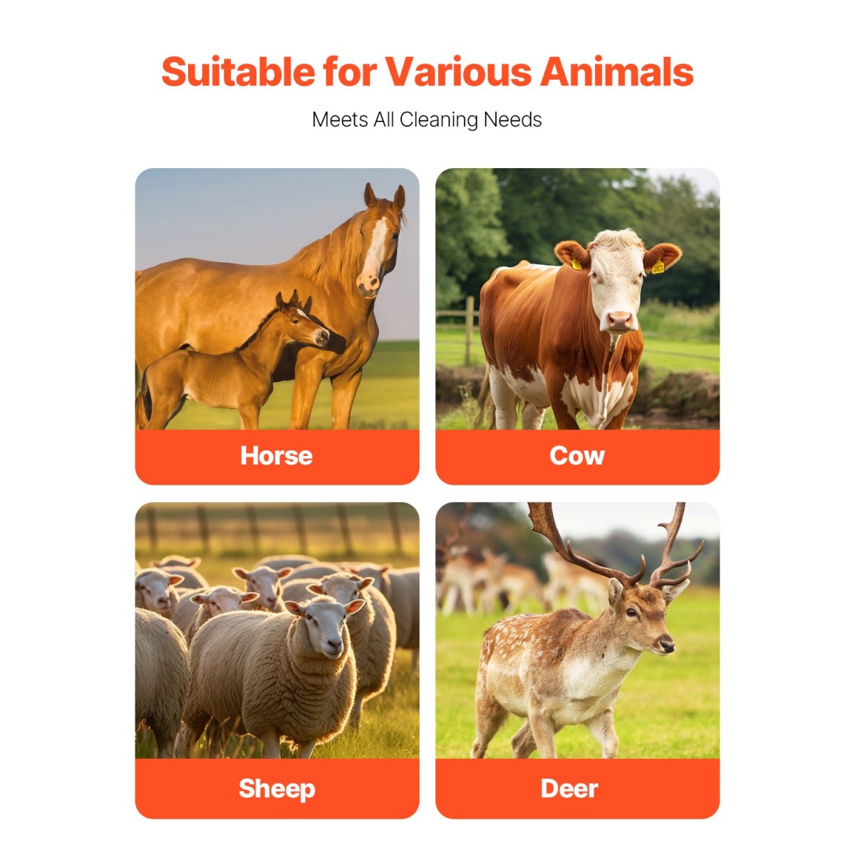 VEVOR Livestock Scratching Brush, 6 Pcs Horse Brush with 12 Screws, 20 x 7,5 in Cow Scratcher, for Back Itch Relief & Keep Cleaning, Grooming & Scratching Post Brush for άλογο, γουρούνι, βοοειδή