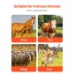 VEVOR Livestock Scratching Brush, 6 Pcs Horse Brush with 12 Screws, 20 x 7,5 in Cow Scratcher, for Back Itch Relief & Keep Cleaning, Grooming & Scratching Post Brush for άλογο, γουρούνι, βοοειδή
