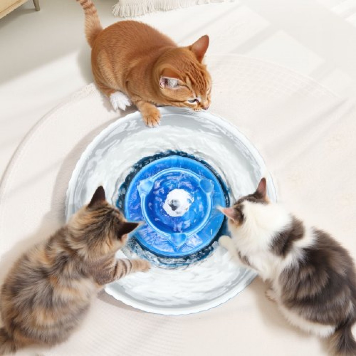 Συντριβάνι VEVOR Ceramic Cat, σιντριβάνι 2,1 L Cupcake για κατοικίδια, πορσελάνινος διανομέας νερού γάτας με εξαιρετικά αθόρυβη αντλία, περιοχή κατανάλωσης 360° και σύστημα φιλτραρίσματος πολλαπλών στρωμάτων, για κατανάλωση γάτων και σκύλων (Μπλε)