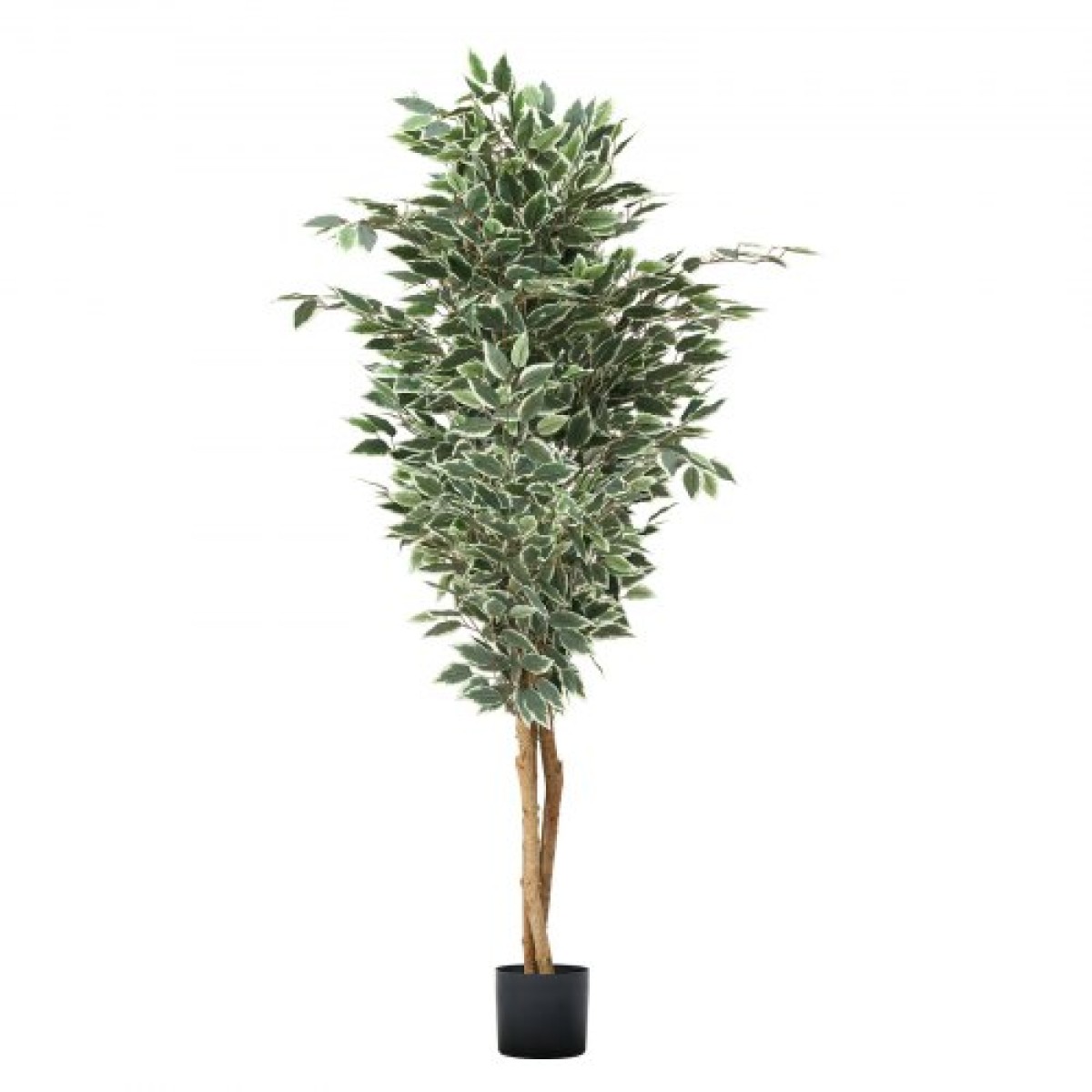 VEVOR Τεχνητό δέντρο Ficus 180 cm με Μαύρη γλάστρα, Ψηλό φυτό Faux Ficus με κορμό από φυσικό ξύλο και ρεαλιστικά πράσινα φύλλα, ψεύτικο μεταξωτό δέντρο εσωτερικού χώρου για διακόσμηση σπιτιού, γραφείου, σαλονιού ή γωνίας