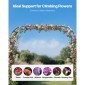 VEVOR Garden Arbor, 2,4 (Υ) x 2,5 (Π) x 0,4 (Β) m Μεταλλική Αψίδα, Στιβαρή Αψίδα Καφασωτών Εξωτερικών με Πασσάλους, Εύκολη Συναρμολόγηση, Πέργκολα κληματαριά για αναρρίχηση φυτών Διακόσμηση γαμήλιου γκαζόν για αυλή