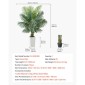 VEVOR Artificial Areca Palm Tree 1829 mm, Ψεύτικος Φοίνικας Τροπικά Φυτά με Λευκή Ψηλή Ζαρντινιέρα, Φυτό από ψεύτικο δάπεδο μετάξι σε γλάστρα, Μεγάλα Δέντρα για Διακόσμηση Σαλονιού Γραφείου Σαλόνι Σπίτι Θέρμανση, Εσωτερικός εξωτερικός χώρος