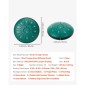 VEVOR Steel Tongue Drum, 16,5cm 11 Notes Rain Drum for Outside Garden, D Major Musical Drums with Music Book & Mallets, Percussion Instrument for Meditation Yoga Beginner Musical Education, Green