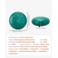 VEVOR Steel Tongue Drum, 25,4cm 11 Notes Rain Drum for Outside Garden, C Major Musical Drums with Music Book & Mallets, Percussion Instrument for Meditation Yoga Beginner Musical Education, Green