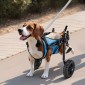 Αναπηρική καρέκλα VEVOR Dog για Πίσω Πόδια, Ρυθμιζόμενη αναπηρική καρέκλα κατοικίδιων 2 τροχών, Ελαφρύ καρότσι σκύλου με ρόδες που απορροφούν τους κραδασμούς, Αναπηρική καρέκλα υποστήριξης κινητικότητας για αναπηρικά τραυματισμένα σκυλιά έως 10 κιλά, μικρ