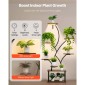 Βάση φυτών VEVOR Indoor with Grow Lights, Φωτιζόμενο ράφι φυτών 8 επιπέδων ύψους 157,5 cm, μεταλλική γωνιακή βάση για φυτά, 3 χρονοδιακόπτη & 10 φωτεινότητα, σχάρα προβολής λουλουδιών σε σχήμα δέντρου για διακόσμηση μπαλκονιού σαλονιού