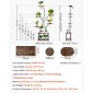 Βάση φυτών VEVOR Indoor with Grow Lights, Φωτιζόμενο ράφι φυτών 8 επιπέδων ύψους 157,5 cm, μεταλλική γωνιακή βάση για φυτά, 3 χρονοδιακόπτη & 10 φωτεινότητα, σχάρα προβολής λουλουδιών σε σχήμα δέντρου για διακόσμηση μπαλκονιού σαλονιού