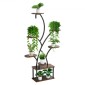 Βάση φυτών VEVOR Indoor with Grow Lights, Φωτιζόμενο ράφι φυτών 8 επιπέδων ύψους 157,5 cm, μεταλλική γωνιακή βάση για φυτά, 3 χρονοδιακόπτη & 10 φωτεινότητα, σχάρα προβολής λουλουδιών σε σχήμα δέντρου για διακόσμηση μπαλκονιού σαλονιού
