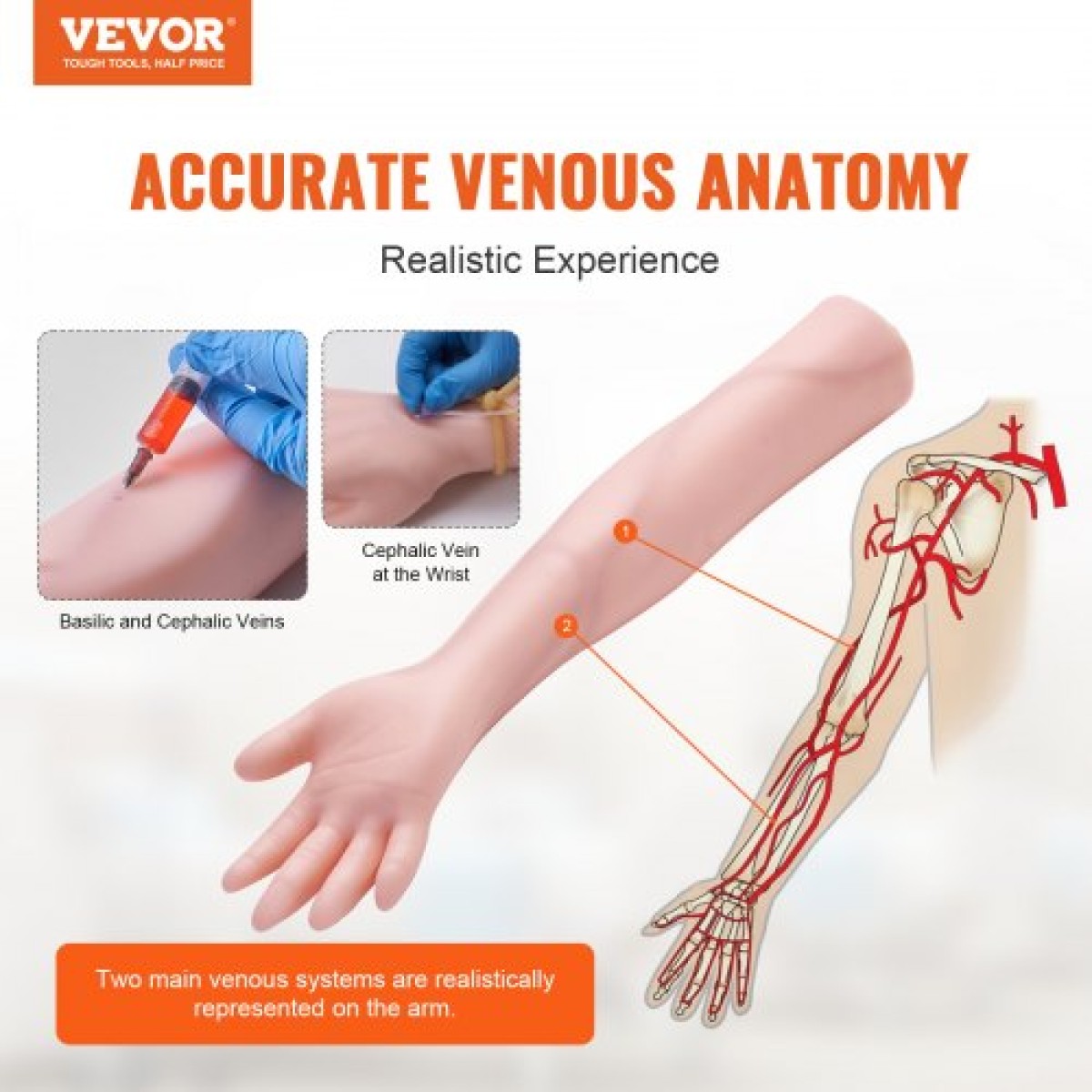 VEVOR Phlebotomy Practice Kit, IV Venipuncture Intravenous Training Kit, High Simulation IV Practice Arm Kit with Carrying Bag, Practice and Perfect IV Skills, για φοιτητές Νοσηλευτές και επαγγελματίες