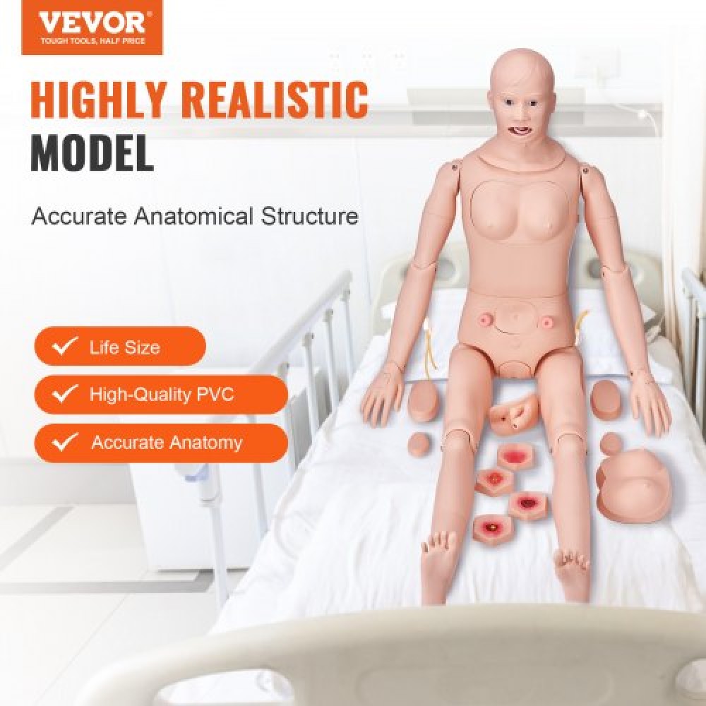VEVOR Nursing Training Manikin, Male/Female Life Size Demonstration Human Manikin for Nursing Training, Multifunctional Education Teaching Model, PVC Anatomical Mannequin Body Care Simulator Model