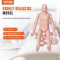 Ανδρικό ανδρείκελο VEVOR Nursing Training, Ανδρικό/Γυναικείο ανδρικό ανδρικό ανδρείκελο επίδειξης μεγέθους ζωής για εκπαίδευση νοσηλευτικής, μοντέλο διδασκαλίας πολλαπλών λειτουργιών εκπαίδευσης, μοντέλο προσομοιωτή περιποίησης σώματος ανατομικής μανεκέν 
