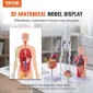 Πακέτο μοντέλων VEVOR Human Anatomy, Brain, Human Torso Body, Heart, Skeleton Model Set of 4, Hands-on 3D Model Study Tools Models for Physiology Students or as Educational Kit for Kids