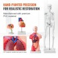 Πακέτο μοντέλων VEVOR Human Anatomy, Brain, Human Torso Body, Heart, Skeleton Model Set of 4, Hands-on 3D Model Study Tools Models for Physiology Students or as Educational Kit for Kids