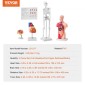 Πακέτο μοντέλων VEVOR Human Anatomy, Brain, Human Torso Body, Heart, Skeleton Model Set of 4, Hands-on 3D Model Study Tools Models for Physiology Students or as Educational Kit for Kids